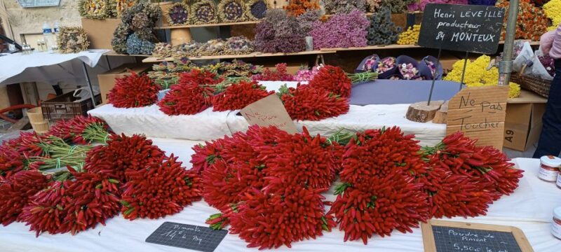 Aix-en-Provence: Provençal Market & Villages Guided Day Trip - Discovering Fontaine-de-Vaucluse