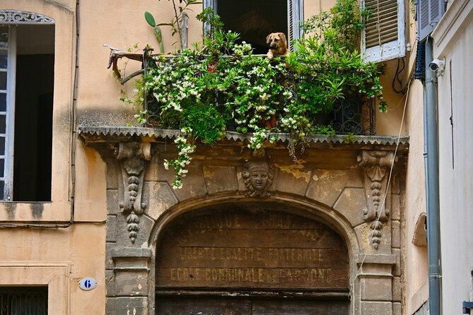 Aix-en-Provence Walking Historic Highlights Tour With a Local - Memorable Souvenirs