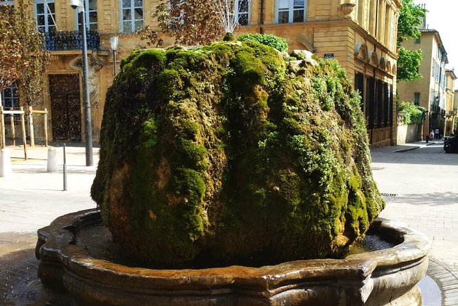 Aix En Provence Wine Tour Cézanne and the Winegrowers - Traveler Reviews and Feedback