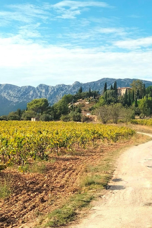 Aix & Marseille: Well-being Day: Nature, Yoga, Picnic & Wine - Logistics and Transportation