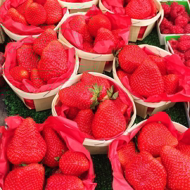 Aix Morning Authentic Market & Foodie Tour With a Local - Tour Highlights