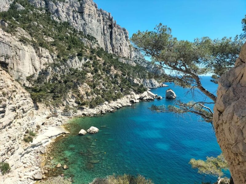 Aix or Marseille: Full Calanques Boat Trip, Cassis & Wine - Experience Description