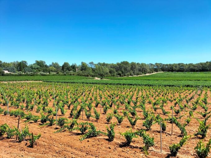 Aix or Marseille: Special Couples Day in Romantic Provence - Provencal Village Stroll