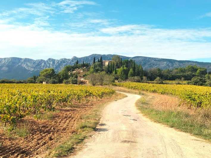 Aix: Wine Tour & Provencal Food Tasting in the Countryside - Experience Highlights