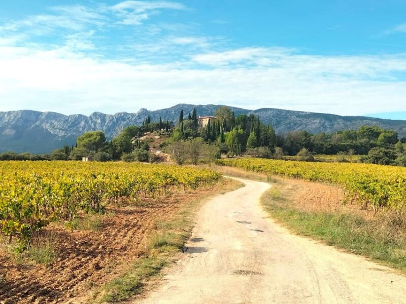 Aix: Wine Tour & Provencal Food Tasting in the Countryside - Landscapes Around Sainte Victoire