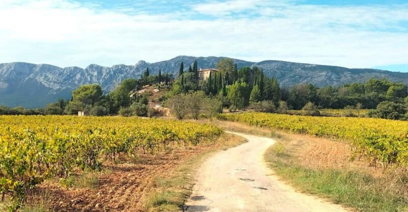 Aix: Wine Tour & Provencal Food Tasting in the Countryside - Winery Visit and Wine Tasting