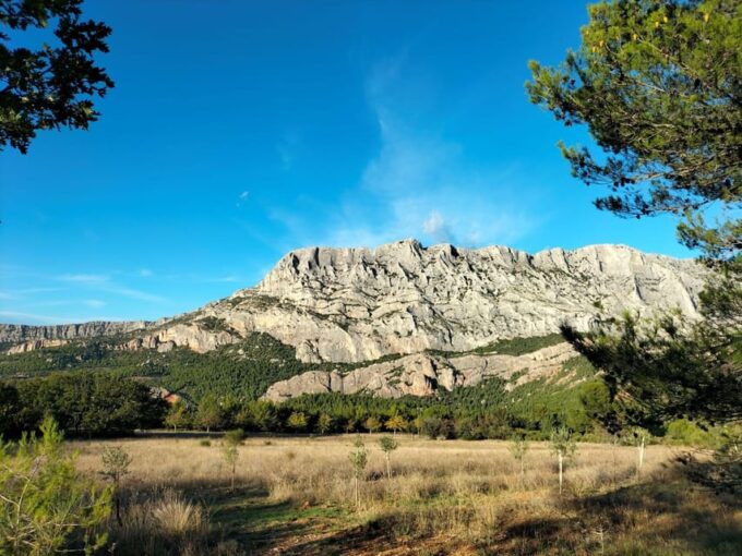 Aix: Wine Tour & Provencal Food Tasting in the Countryside - Food and Wine Pairing