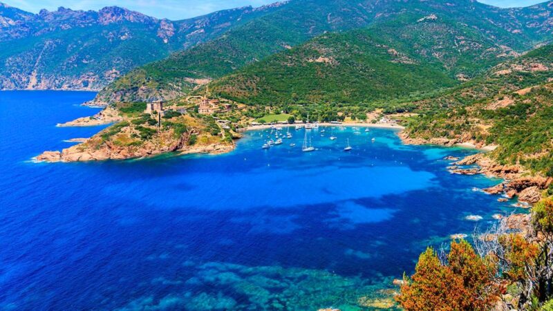 Ajaccio: Full-Day Corsica West Coast Guided Boat Tour - Highlights of the Tour