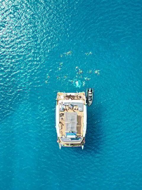 Ajaccio the Sanguinary Islands: ALL INCLUSIVE Catamaran Cruise - Pricing and Booking