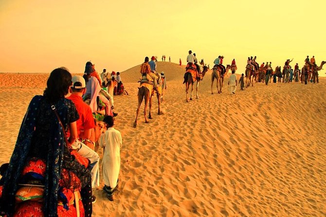 Ajmer Pushkar Day Tour From Jaipur - Pricing and Reviews