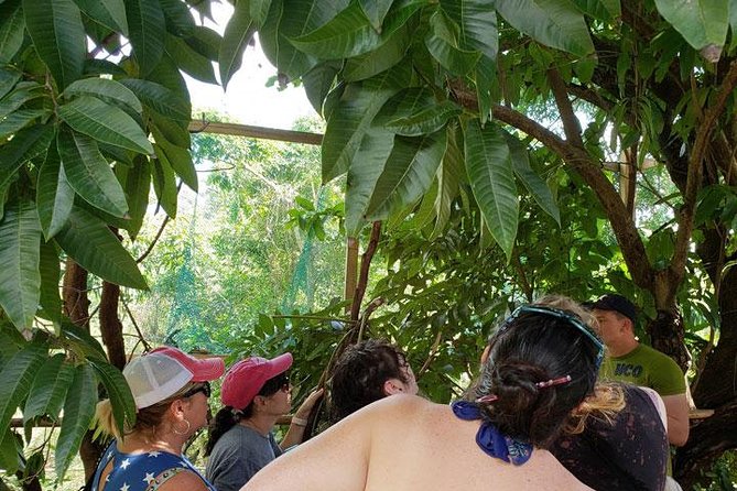AJs Sloth & Monkeys Family Excursion, City Tour & Private Transfer - Wildlife Experience