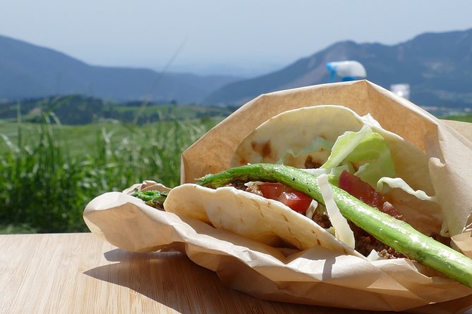 Aka Beef Barbecue to Enjoy in the Superb View of Aso - Paid Option Menu