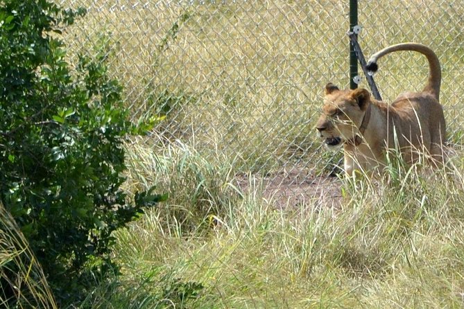 Akagera National Park - Wildlife and Scenic Attractions