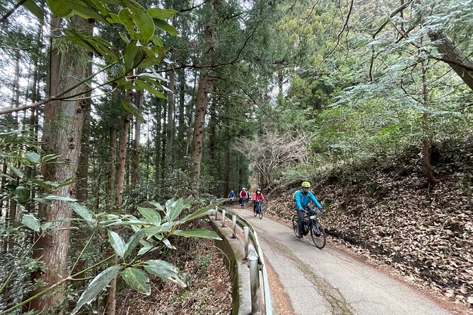 Akagi 100KM Circle E-Bike Tour With Onsen Stay - Exploring the Kanto Region
