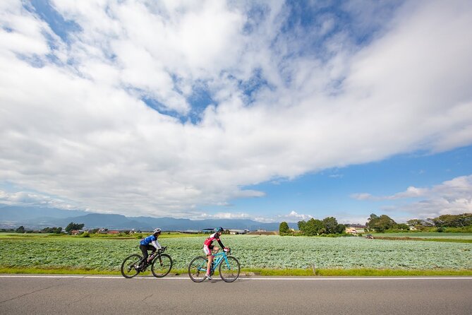 Akagi Mountain E-Bike Hill Climbing Tour - Lunch and Dining