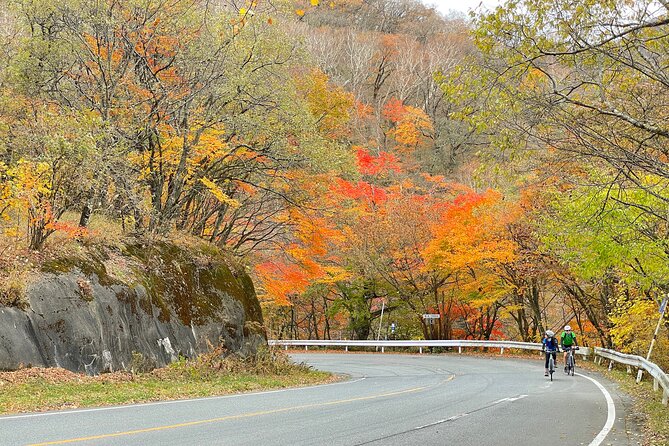 Akagi Mountain E-Bike Hill Climbing Tour - Physical Fitness Requirements