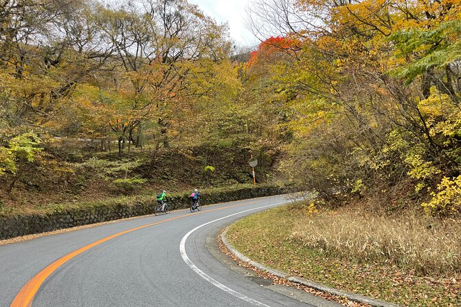 Akagi Mountain E-Bike Hill Climbing Tour - Accessibility Considerations