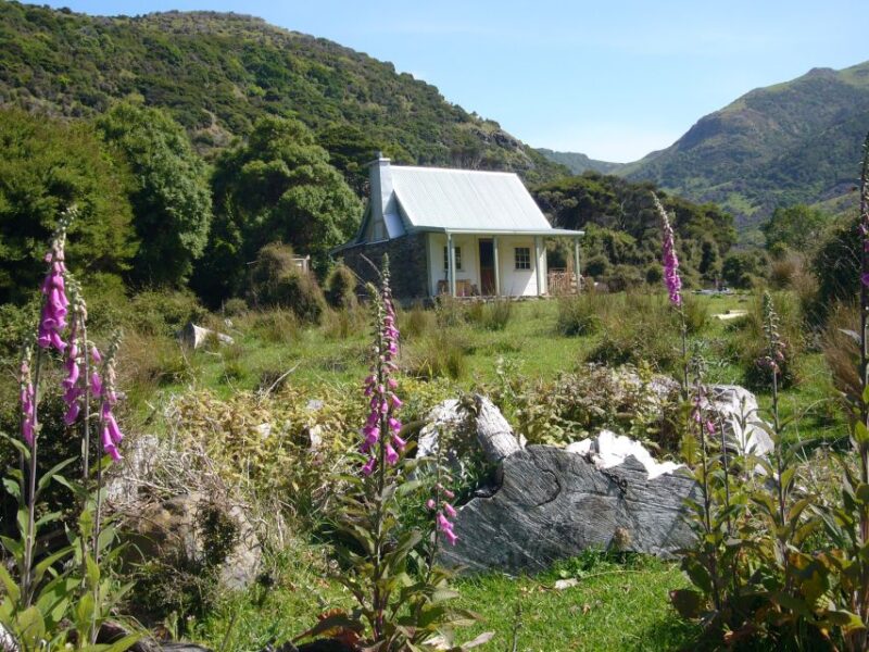 Akaroa: 24-hour Overnight Pohatu Penguin Package - Key Points