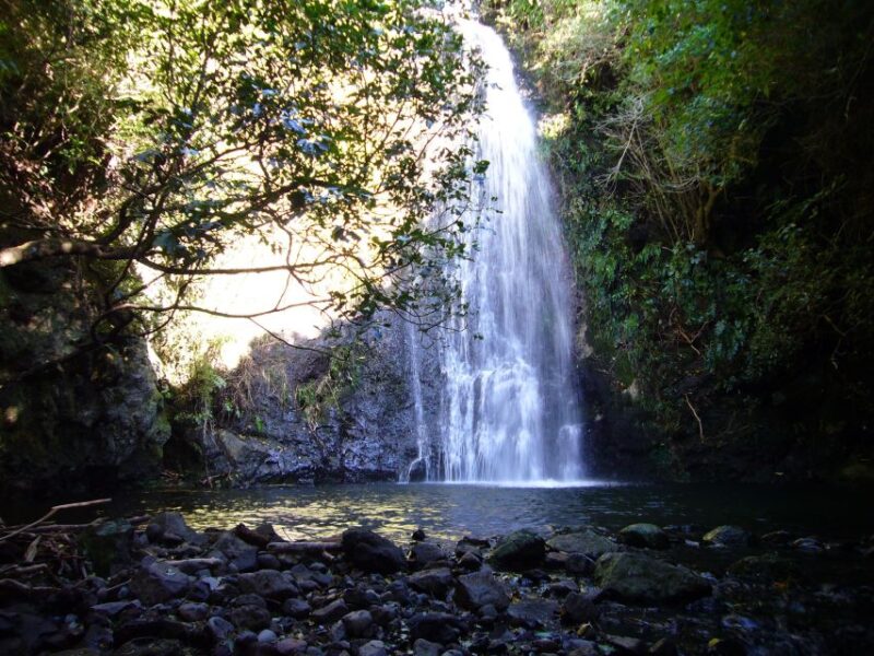 Akaroa: 24-hour Overnight Pohatu Penguin Package - Accommodation Details