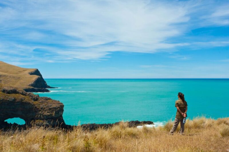 Akaroa: 24-hour Overnight Pohatu Penguin Package - Customer Reviews