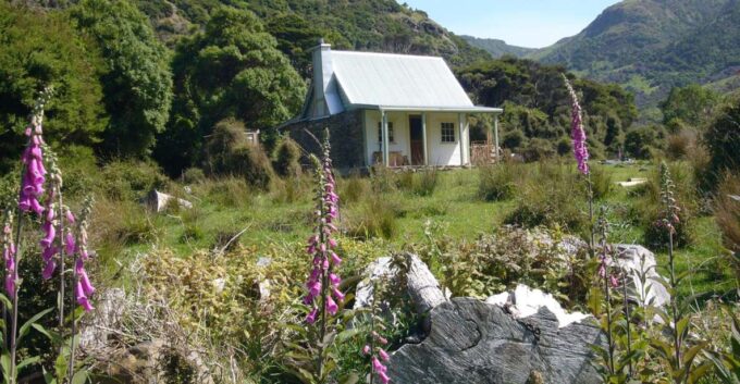 Akaroa: 24-hour Overnight Pohatu Penguin Package - Unique Highlights