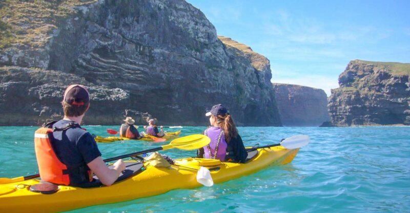 Akaroa: 4WD Safari and Guided Sea-Kayaking Experience - Experience Highlights