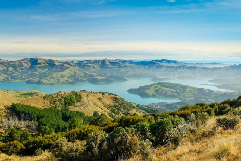 Akaroa: 4WD Safari and Guided Sea-Kayaking Experience - What to Bring and Important Information