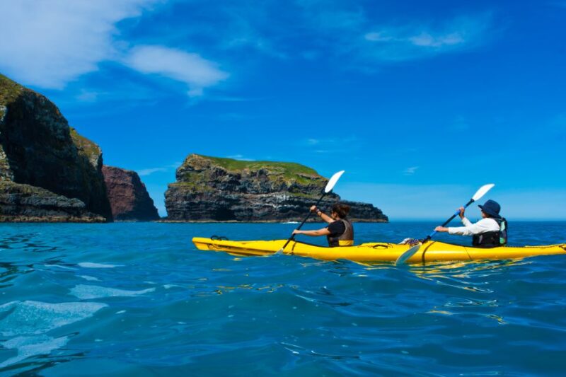Akaroa: 4WD Safari and Guided Sea-Kayaking Experience - Customer Reviews and Ratings