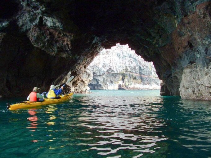 Akaroa: 4WD Safari and Guided Sea-Kayaking Experience - Scenic 4WD Transport to Pohatu Marine Reserve