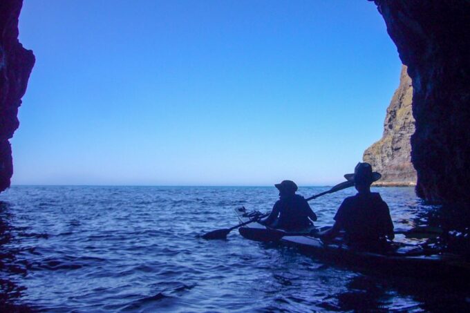 Akaroa: 4WD Safari and Guided Sea-Kayaking Experience - Guided Sea-Kayaking Adventure