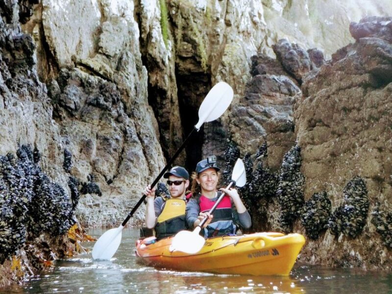 Akaroa: Akaroa Marine Reserve Sea Kayaking Tour - Key Points