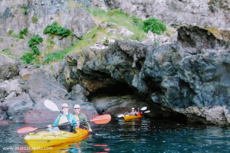 Akaroa: Akaroa Marine Reserve Sea Kayaking Tour - Meeting Point and Languages