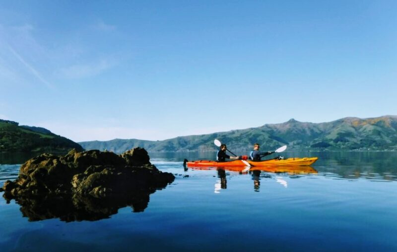 Akaroa: Akaroa Marine Reserve Sea Kayaking Tour - Highlights of the Experience