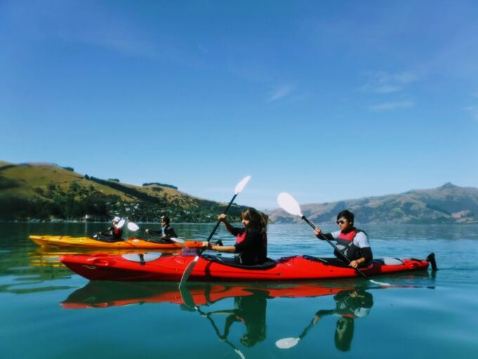 Akaroa: Akaroa Marine Reserve Sea Kayaking Tour - Knowledgeable Guide