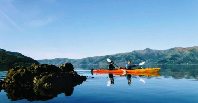 Akaroa: Akaroa Marine Reserve Sea Kayaking Tour - Inclusions and Cancellation