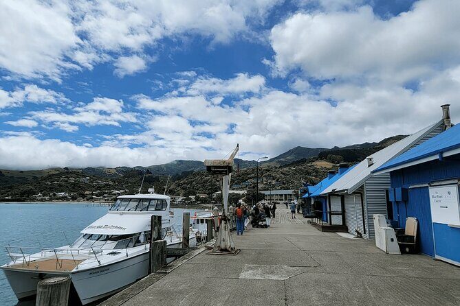 Akaroa and Akaroa Dolphins Day Tour - The Itinerary in Detail