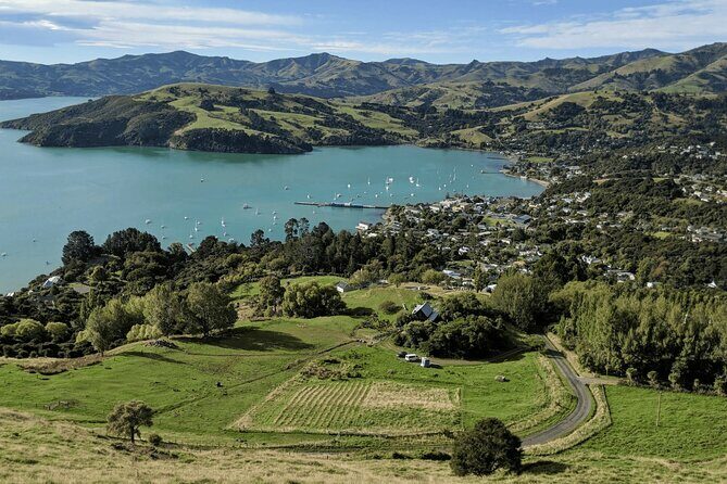 Akaroa and Akaroa Dolphins Day Tour - Authentic Experiences You’ll Remember