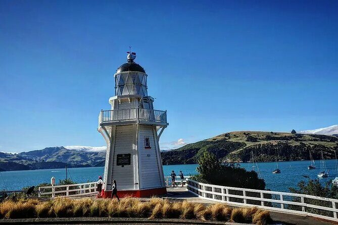 Akaroa and Akaroa Dolphins Day Tour - Who Should Consider This Tour?