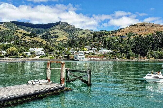 Akaroa and Akaroa Dolphins Day Tour - The Sum Up