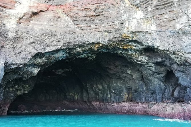 Akaroa and Banks Peninsula Small Group Tour (Nature Cruise or Dolphin Swim) - Scenic Drive Through Banks Peninsula