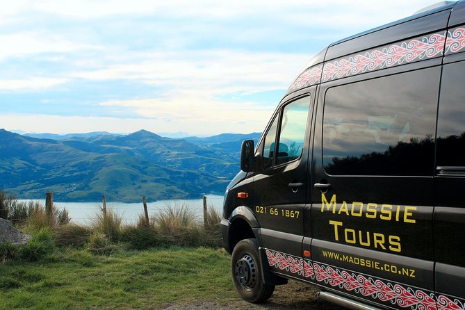 Akaroa and Banks Peninsula Wild Penguins Tour - Pickup Information