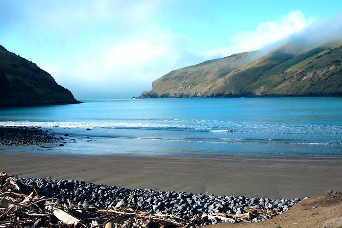 Akaroa and Banks Peninsula Wild Penguins Tour - Exploring Akaroa and Banks Peninsula