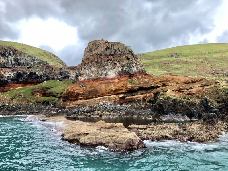 Akaroa/Banks Peninsula Day Tour With Scenic Harbor Cruise - Inclusions