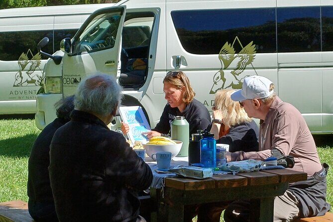 Akaroa & Banks Peninsula from Lyttelton(Private Shore Excursion) - An In-Depth Look at the Tour Itinerary