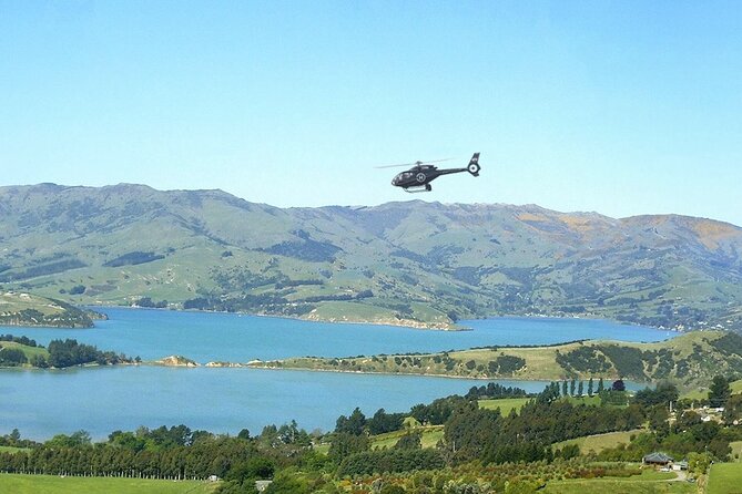Akaroa & Banks Peninsula Scenic - Touching Down on the Mountain