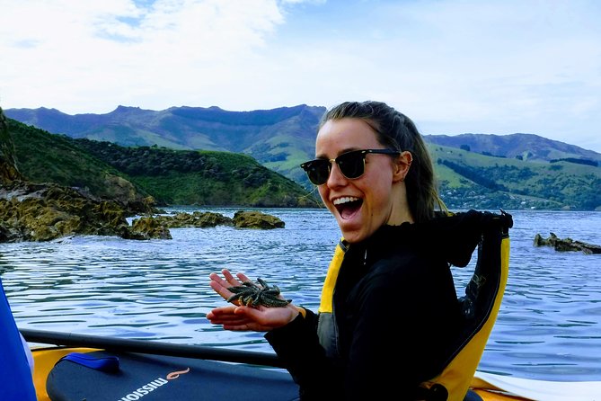 Akaroa Day Trip From Lyttelton Port - Return Shuttle + Sea Kayak or Ebike Tour - Pickup and Departure Details