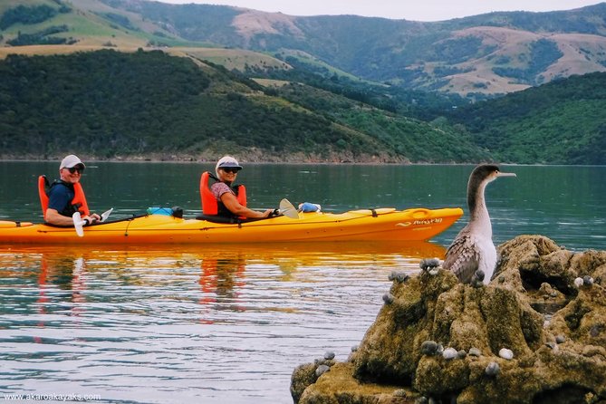 Akaroa Day Trip From Lyttelton Port - Return Shuttle + Sea Kayak or Ebike Tour - Scenic Shuttle Journey