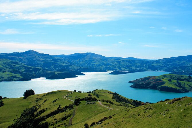 Akaroa Eco-Safari With Alpaca Farm Tour and Wine Tasting - Winery Tasting and Platter