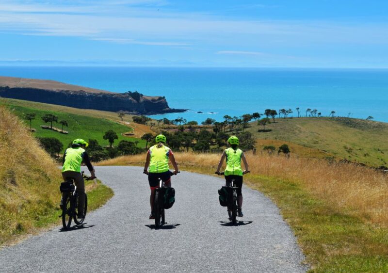 Akaroa: Electric Mountain Bike and Sea Kayak Adventure - Key Points