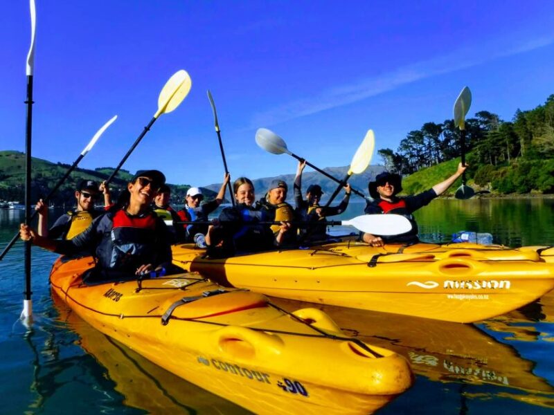 Akaroa: Electric Mountain Bike and Sea Kayak Adventure - Adventure Highlights